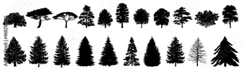 Tree Set. Different Tree Silhouette. Spruce, Coniferous, Pine, Deciduous. Isolated on White Background. Vector Illustration. Forest and Park Elements. Winter forest collection. Black Hand Drawning. photo