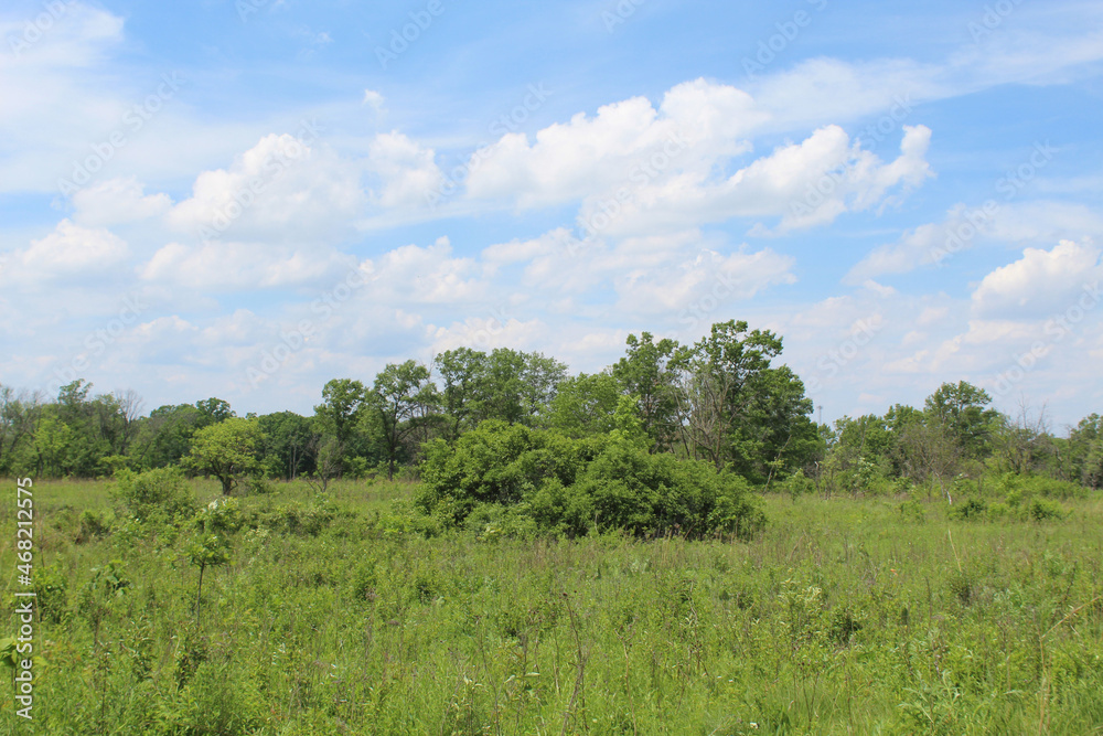 Green meadow with trees in the background at Somme Prairie Nature Preserve in Northbrook, Illinois Green meadow with trees in the background at Somme Prairie Nature Preserve in Northbrook, Illinois