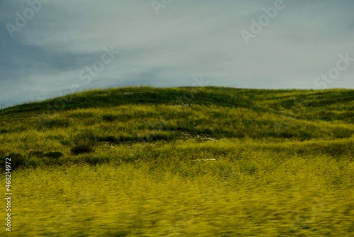 California Spring