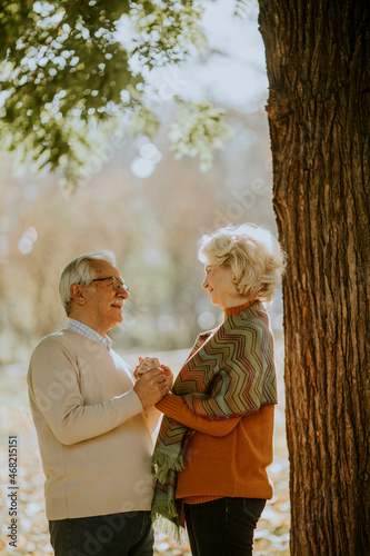 Senior couple embracing in ...
