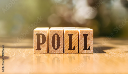 wooden cubes with word poll on light background