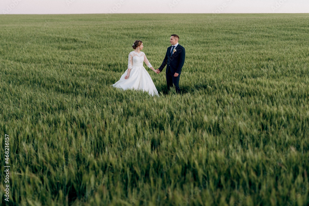 the groom and the bride walk along the wheat green field the groom and the bride walk along the wheat green field