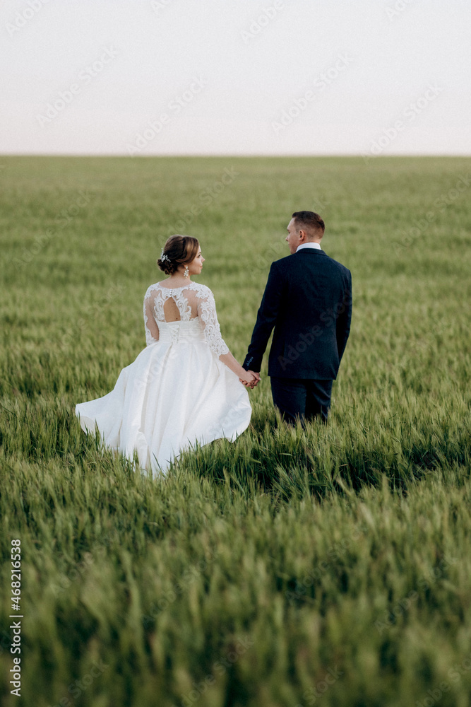 the groom and the bride walk along the wheat green field the groom and the bride walk along the wheat green field