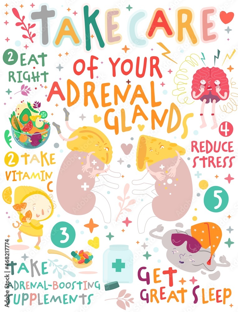 Take care of your adrenal glands. Creative vertical poster in modern style.