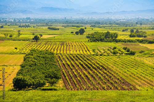 Agricultural fields where vineyards and other fruit and vegetable crops grow.