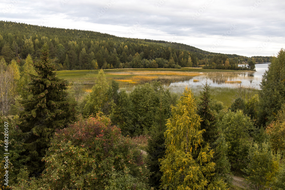 View from the hill to the autumn forest and Lake Onega. Karelia View from the hill to the autumn forest and Lake Onega. Karelia