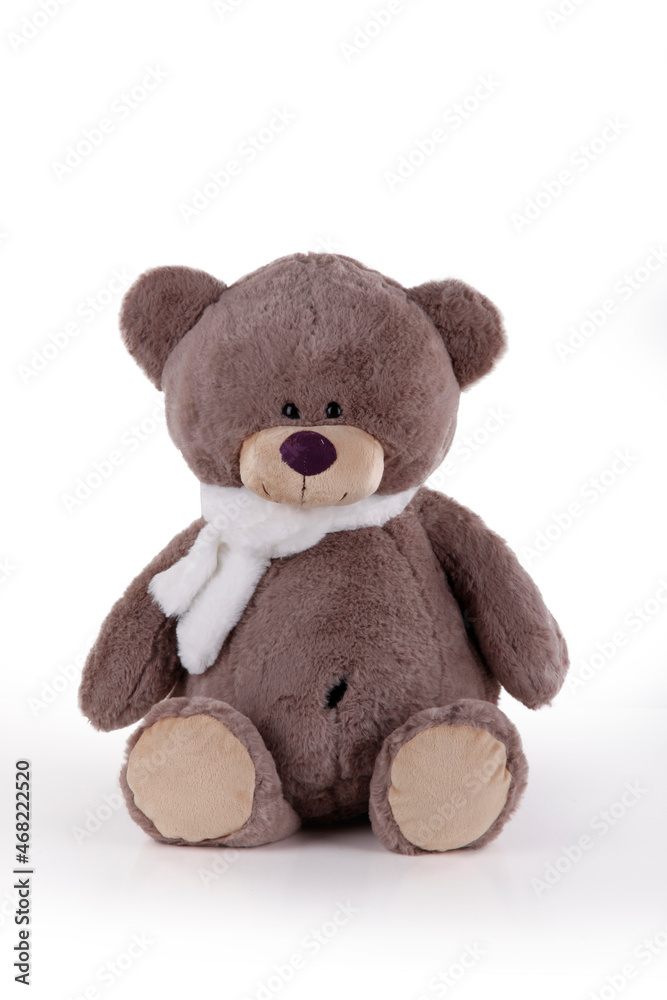 A teddy bear doll isolated on a white background