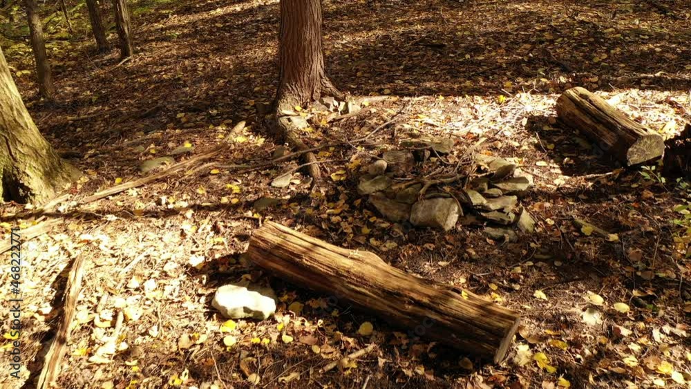 Camping and hiking in forest during fall at White Tor WMA near Naples New York Camping and hiking in forest during fall at White Tor WMA near Naples New York