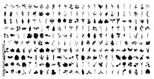 Collection of traced leaves and sprigs. Black prints of foliage. Vector design elements isolated on a white background.