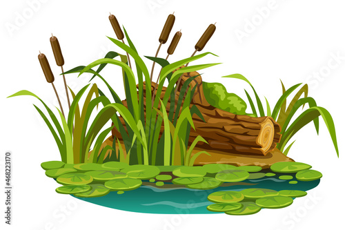 Moss on the stump in marsh. Cartoon log in swamp jungle. Broken tree oak, cattails, salvinia, water lily. Isolated vector element on white background.