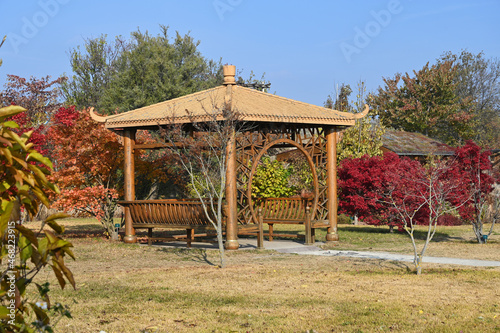 Park with Japanese garden in the fall