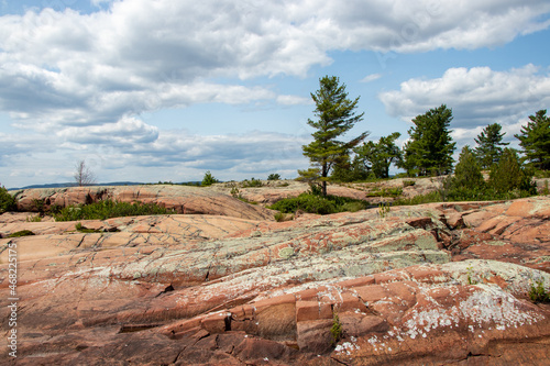 pine trees on pink granite rocks on the Canadian Shield on Georgian Bay photo