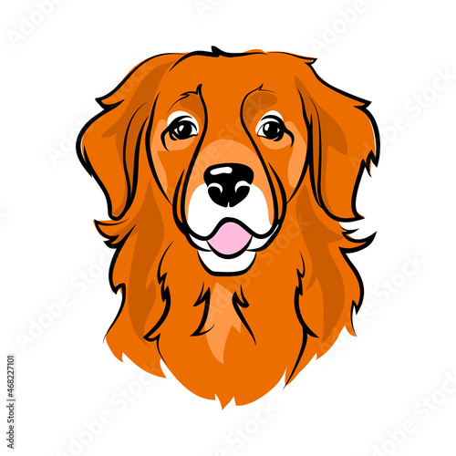 vector domestic animal labrador retriever adorable dog breed character symbol friendship