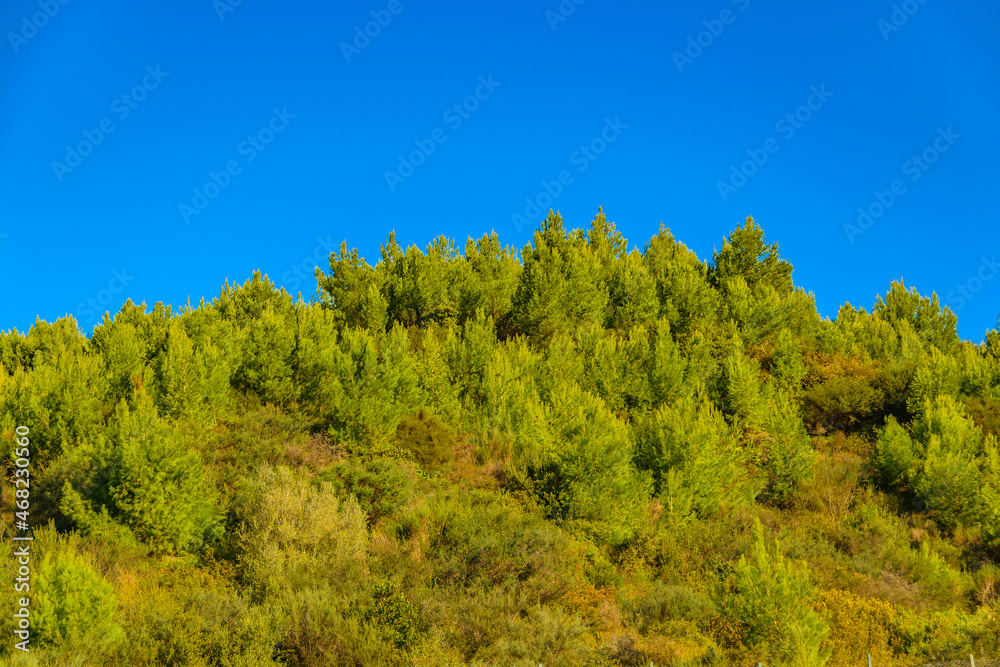 Olympia Landscape, Peloponesse, Greece Olympia Landscape, Peloponesse, Greece