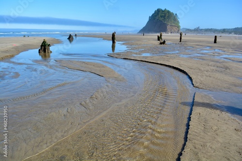 Neskowin Beach Oregon Ghost Forest Pacific photo