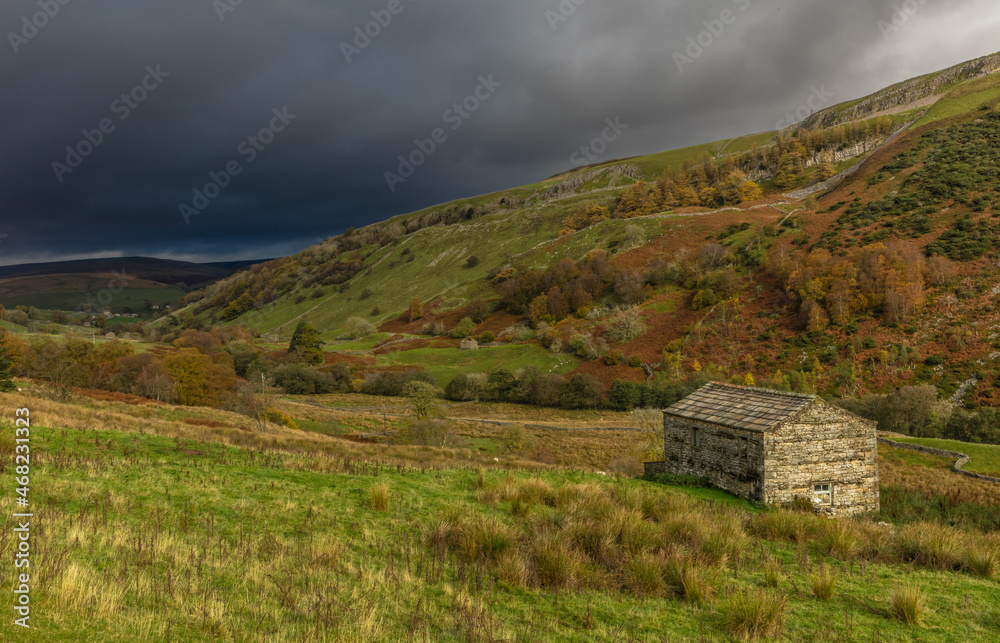Stormy winter skies over Swaledale.  Stone barn or cow house with russet coloured bracken, trees  and grasses.  Keld, Yorkshire Dales, UK.  Space for copy.  Horizontal.