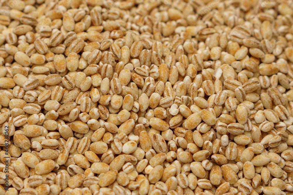 Pearl barley close-up for the whole frame. Pearl barley texture.