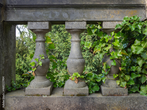 Balustrade mit Efeu
 photo