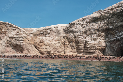 Sea lions, Pisco Paracas, Ballestas Islands