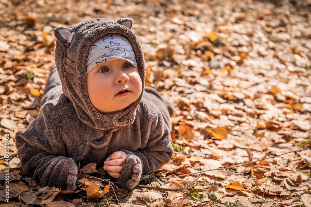 Little baby boy playing in yellow fall foliage, copy space