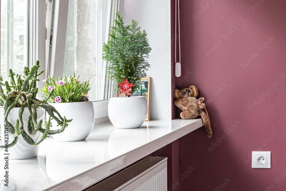 Beautifull decorative house plants and a toy on a white glossy windowsill, space for text