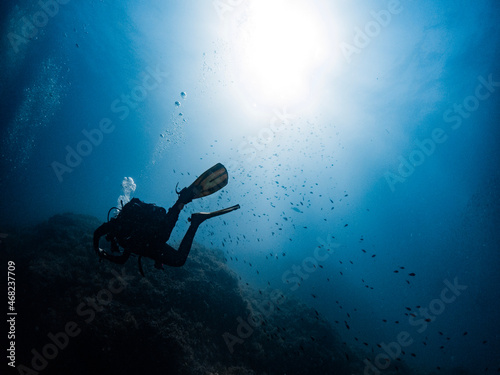 Fotografie Fotografía submarina en la Reserva de Islas Hormigas, en Cabo de Palos, Murcia, España