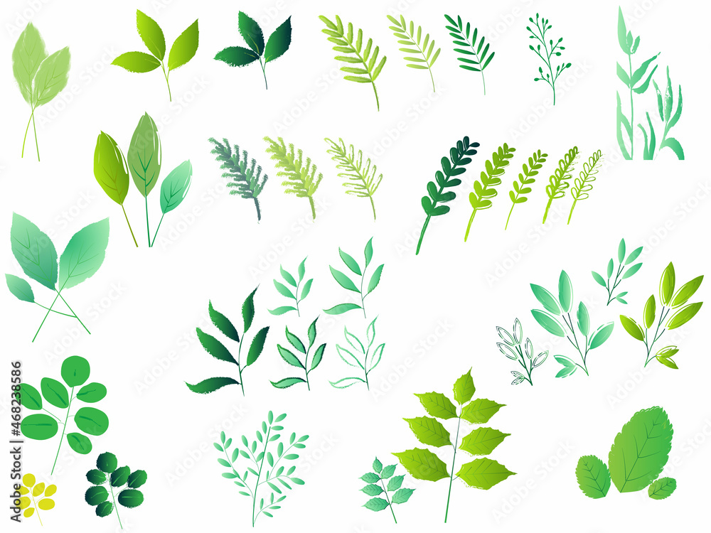 Set of watercolor wild leaves vector.Bundles of green botanical leaf clip art. Set of green leaves