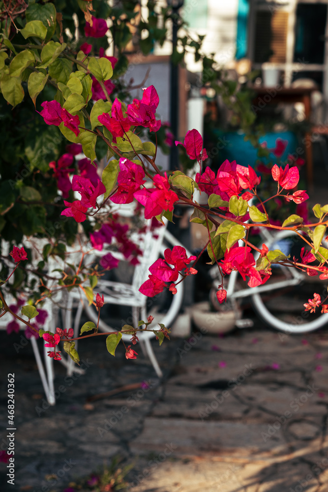 Retro and vintage. A bicycle in a city cafe with flowers in the Provencal style.