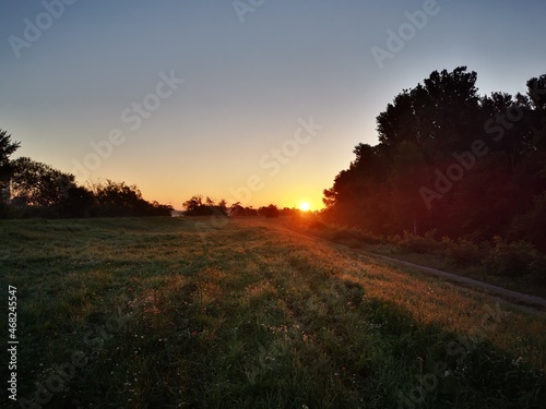 Fototapeta Naklejka Na Ścianę i Meble -  sunset in the field
