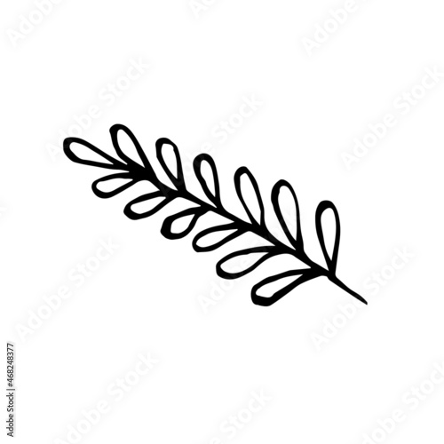 Sketch tropical leaf in line art style. Doodle outline jungle plant. Hand drawn exotic leaves vector illustration isolated on white background