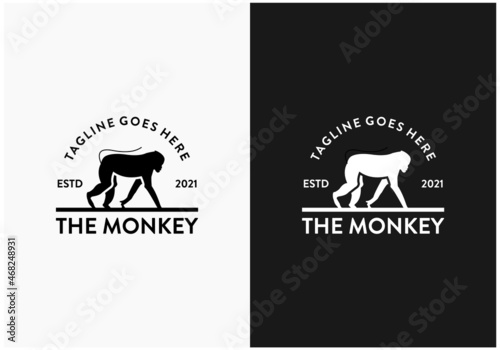 Photography crawling monkey design