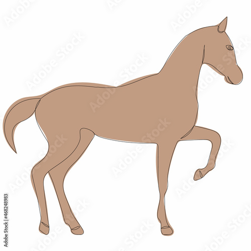 sketch horse brown  vector  isolated