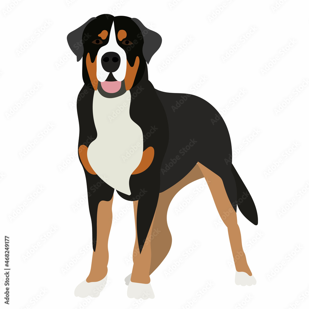 dog in flat style, vector, isolated
