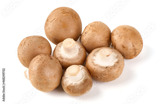Royal brown champignons  isolated on white background.