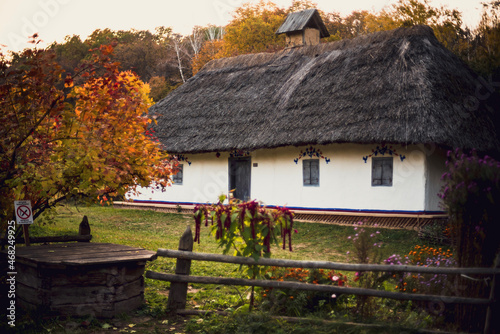 thatched cottage © Ігор Коротя