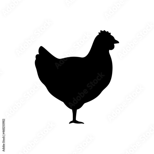 Silhouette of chicken animal, black contour hen bird. Rooster. Household bird farm. Vector illustration
