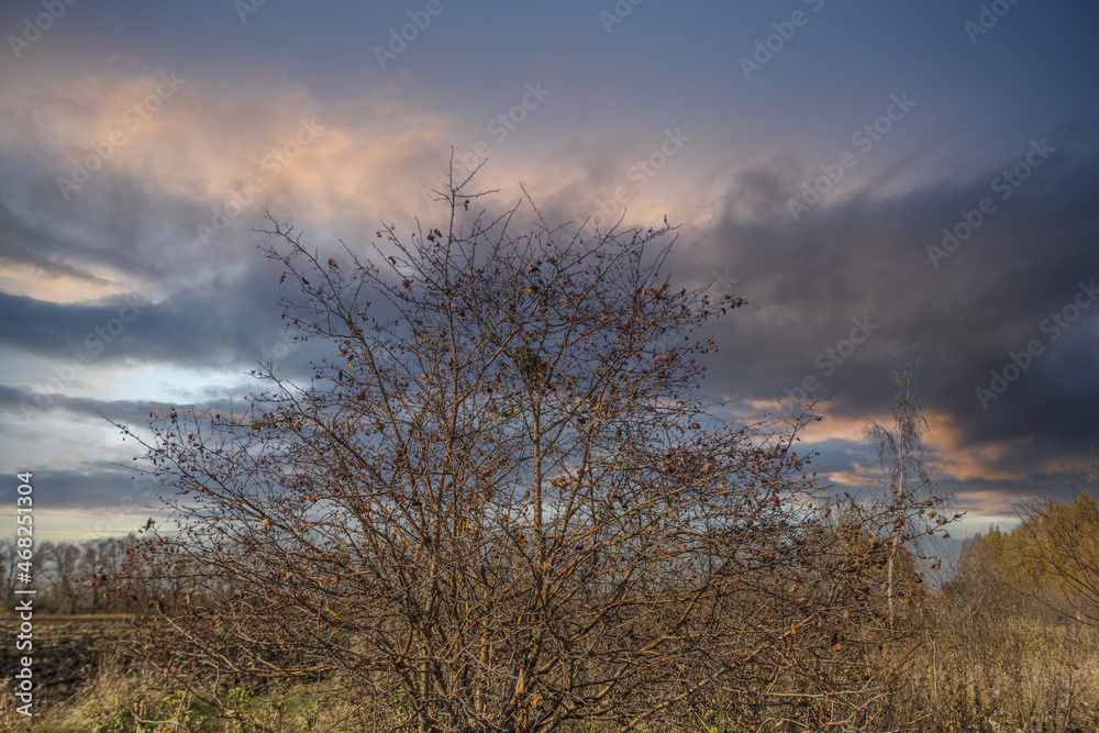 autumn nature of Sursky krai