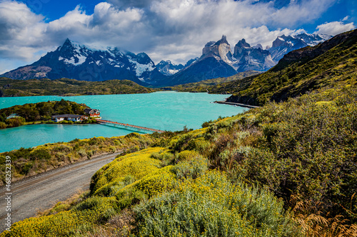 Flower covered hillsides below the dramatic mountains of Torres Del Paine National Park