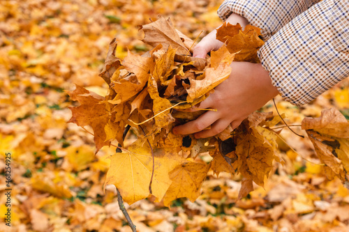 the girl s hands are holding an armful of autumn leaves