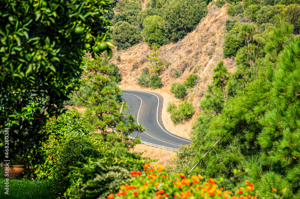 View of a fragment of a winding mountain road below from a green garden with trees, bushes, grass and red and yellow flowers. View of a fragment of a winding mountain road below from a green garden with trees, bushes, grass and red and yellow flowers.