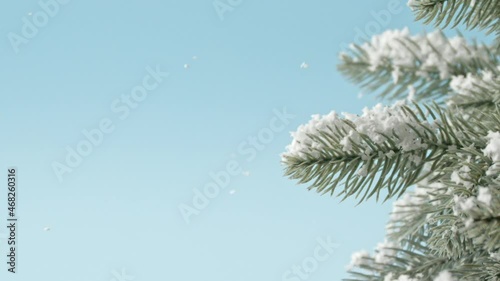 Beautiful fir tree and falling snow on color background, closeup
