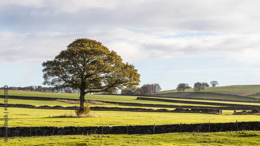 Derbyshire Dales landscape