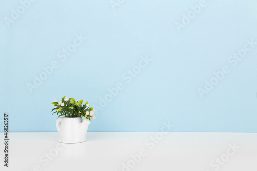 flower pots on the blue wall