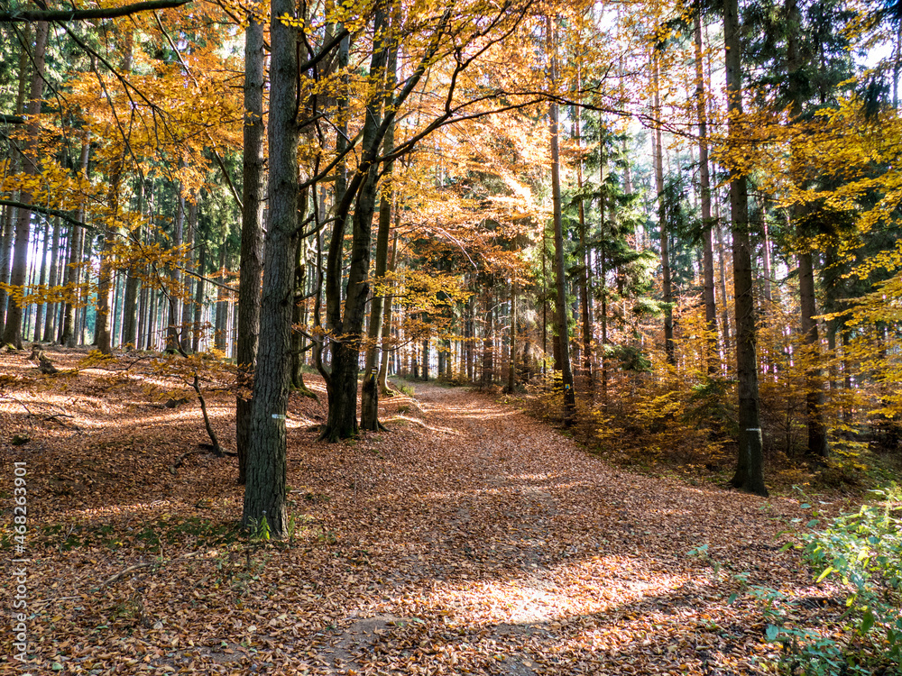 Naklejka premium czech countryside landscape in autumn