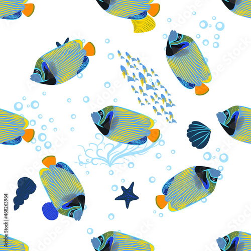 Emperor angelfish Pomacanthus imperator, sea animal wildlife character. Nature underwater, marine wild ocean zoo fish. animals bright seamless patterns.