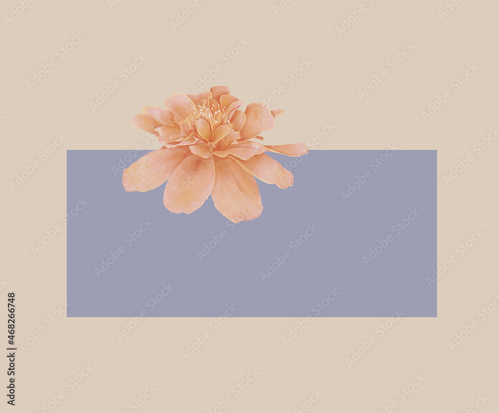 Naklejka premium Flower solo frame vintage banner template