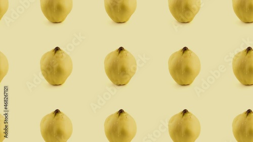 Quince fruit pattern with water drops, 2D animation background, seamless looping, 4K 60 FPS