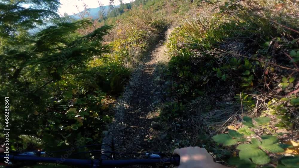 First Person View Riding Mountain Bike on Sunny Fall Day