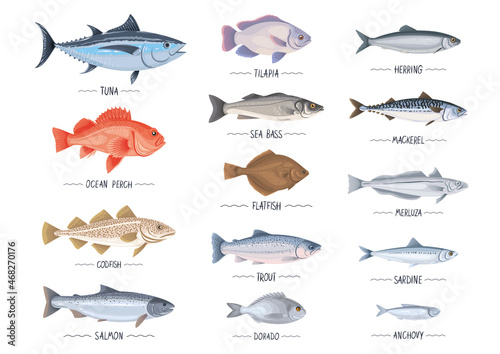 Foto Commercial fishes set