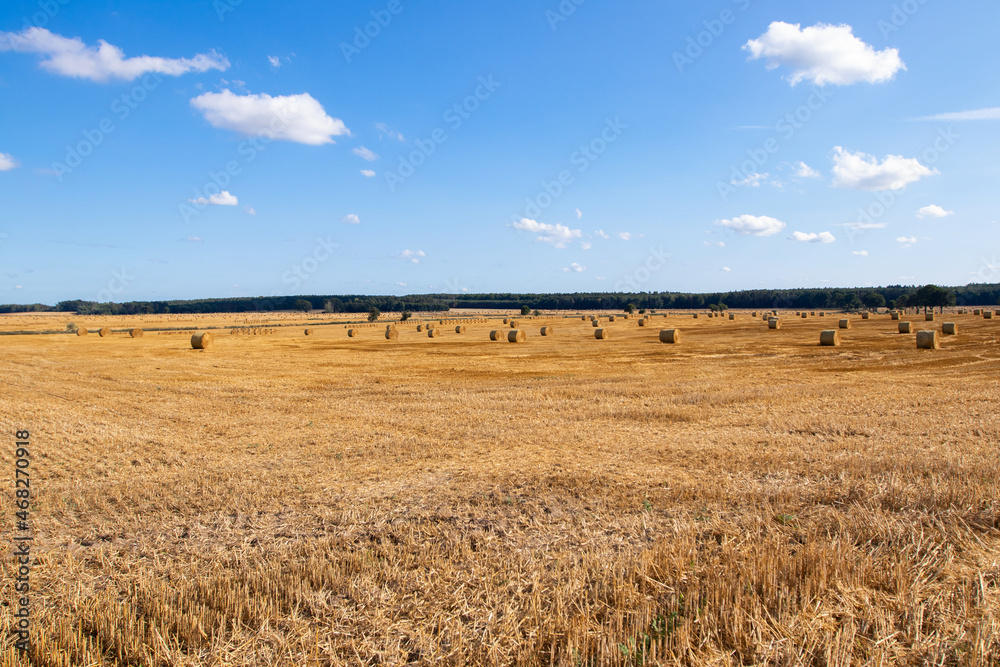 
A field for a large bale. Early fall. 